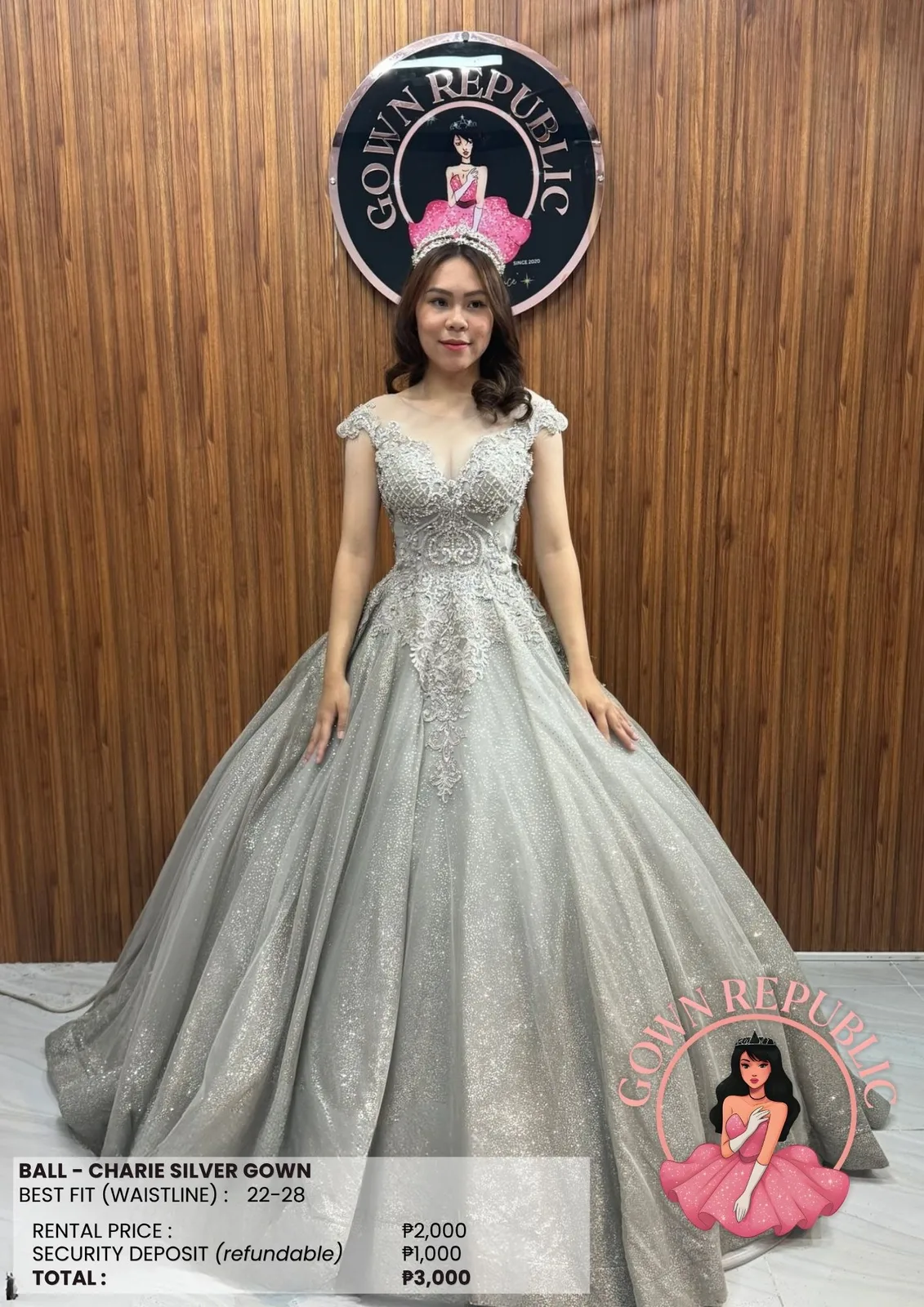 Ball Gowns: Silver / Gray 262